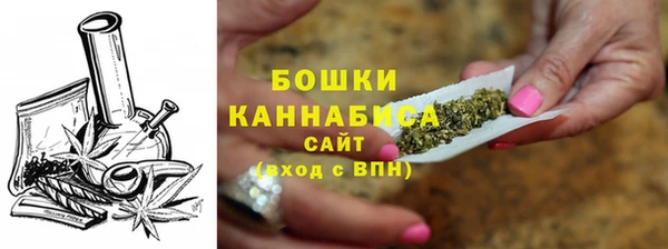 молекула духа Краснослободск