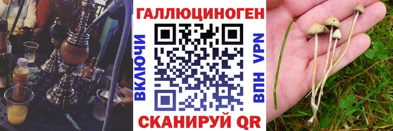 Купить  Лесосибирск  Галлюциногенные грибы Psilocybine cubensis 